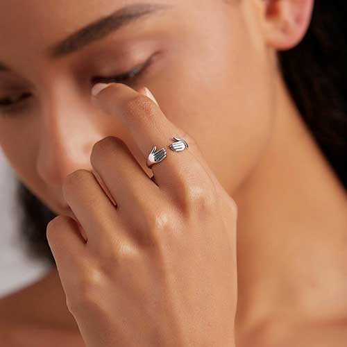 Silver Ring Model